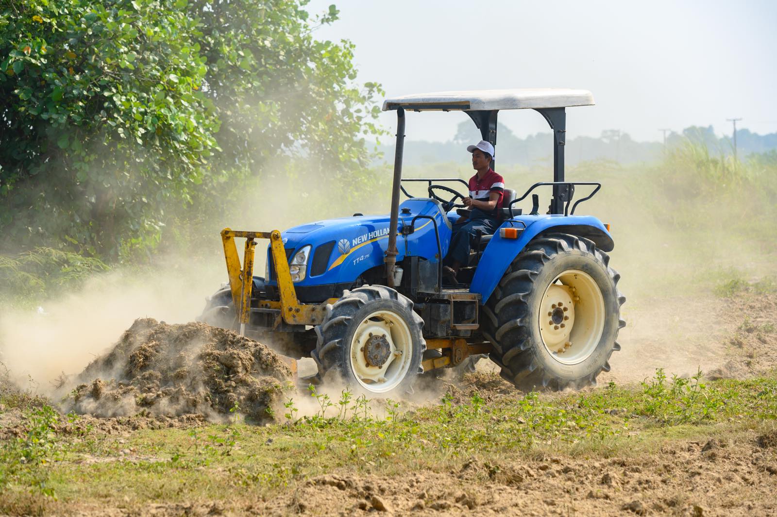 Monsoon agriculture season at Phayargyi branch