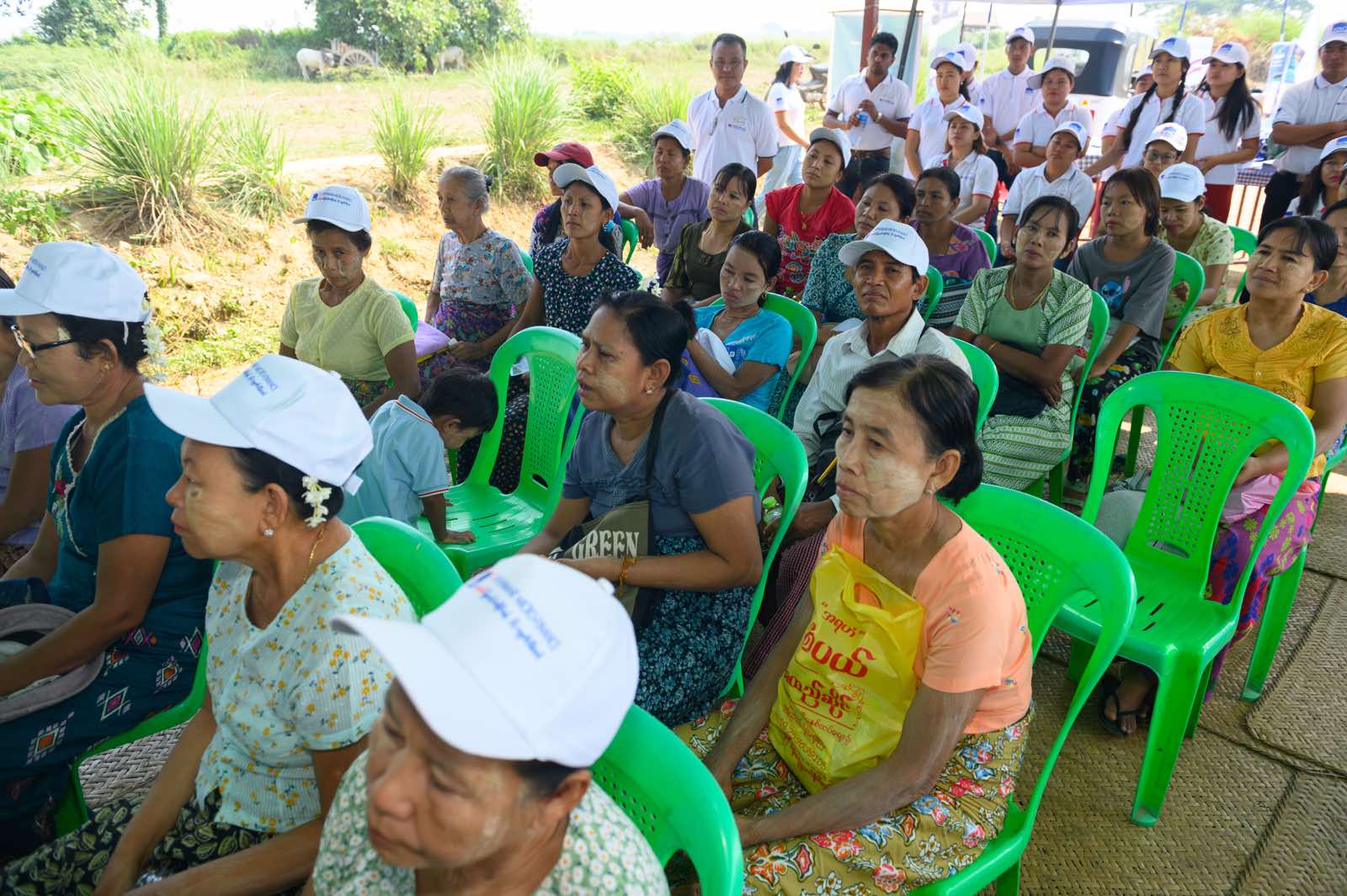 Monsoon agriculture season at Phayargyi branch