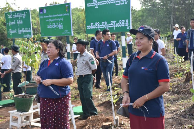 Tree Plantation Day 2019
